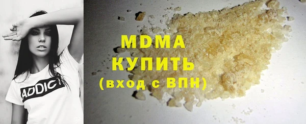 прущие грибы Переславль-Залесский