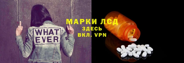 прущие грибы Переславль-Залесский