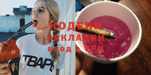прущие грибы Переславль-Залесский