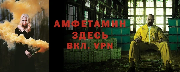 гашик Пересвет