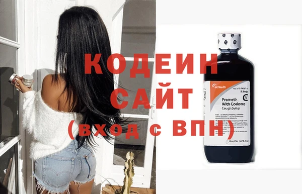 гашик Пересвет