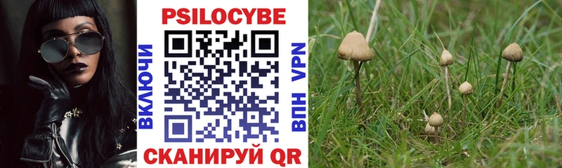 цены наркотик  Бабаево  Галлюциногенные грибы Cubensis 